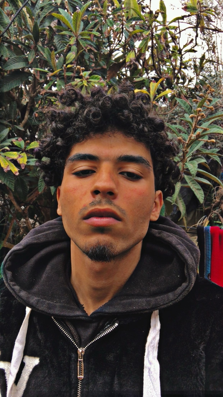 Mehyar Ben Amor